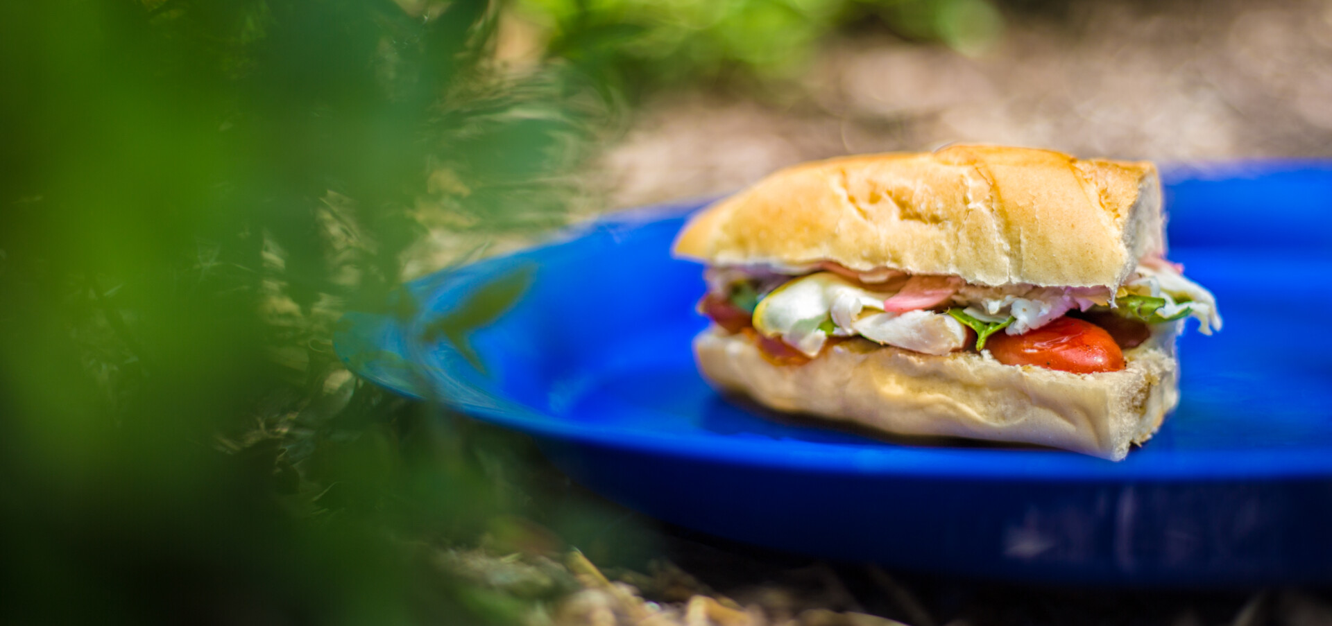 Tomato and Cheese Sandwich Recipe