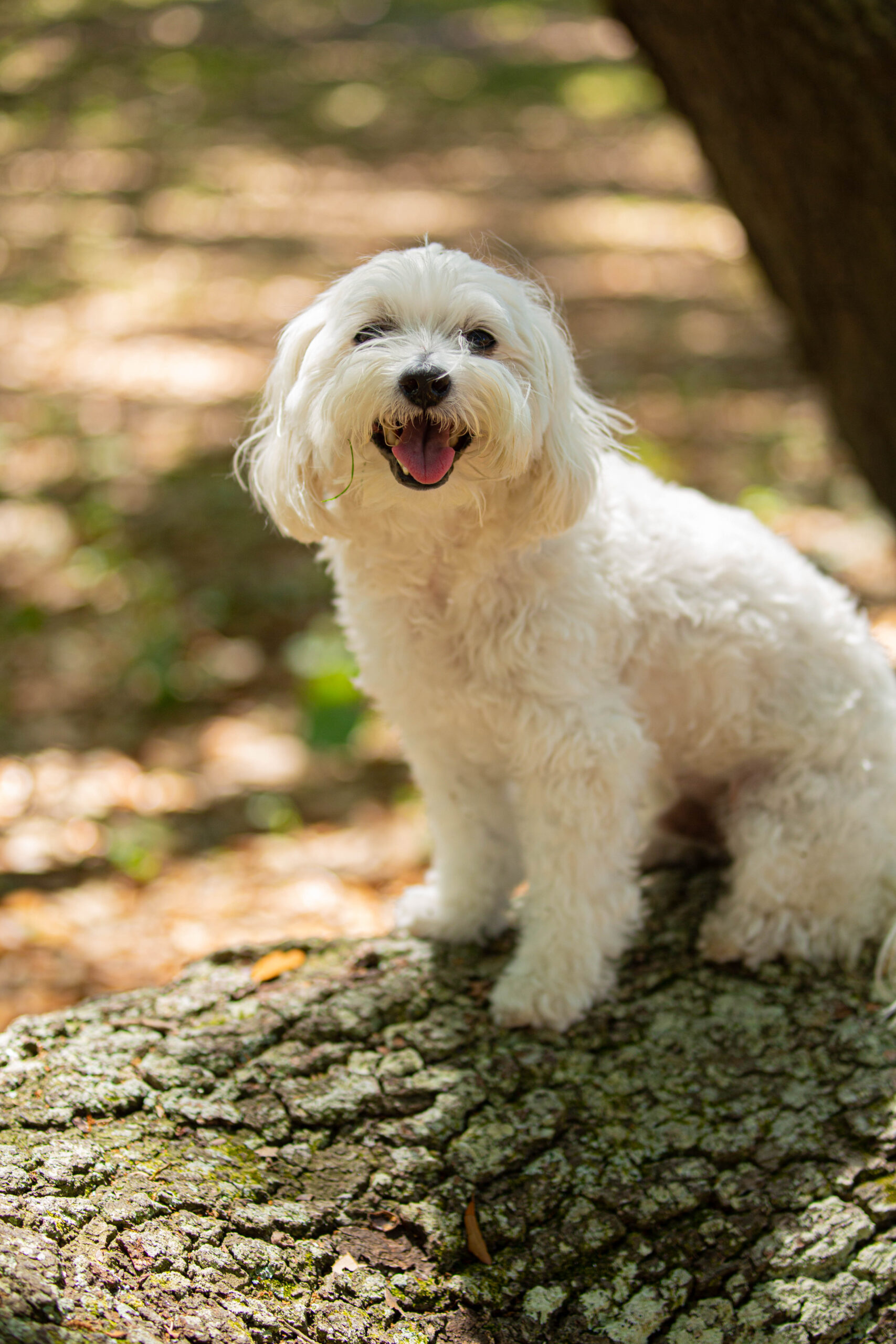 Charlie smiles happily at the camera