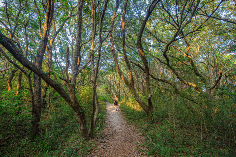 Huntington Beach Sate Park