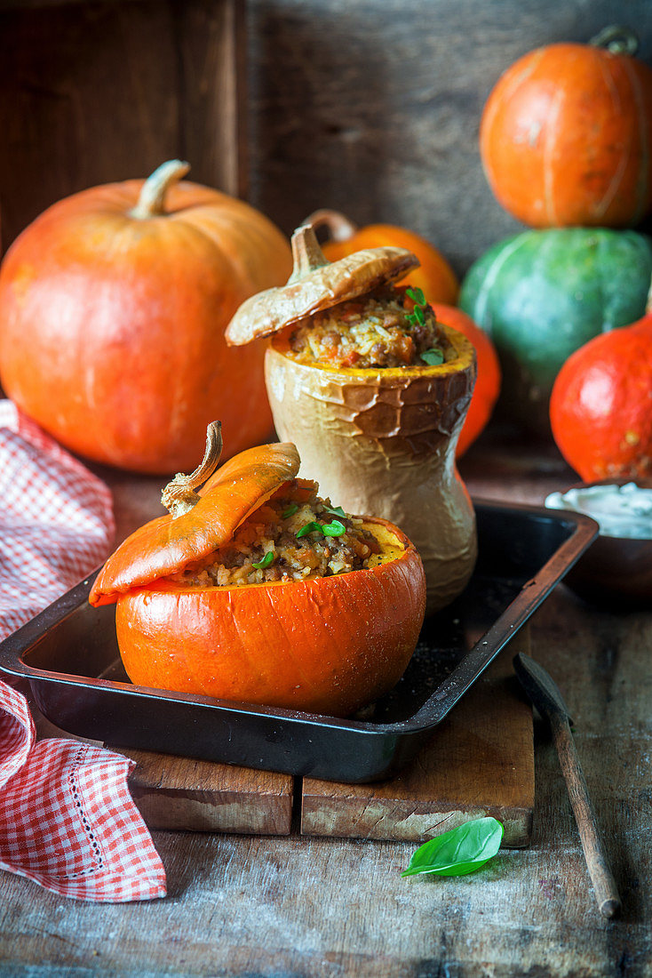 Fall Stuffed Pumpkin