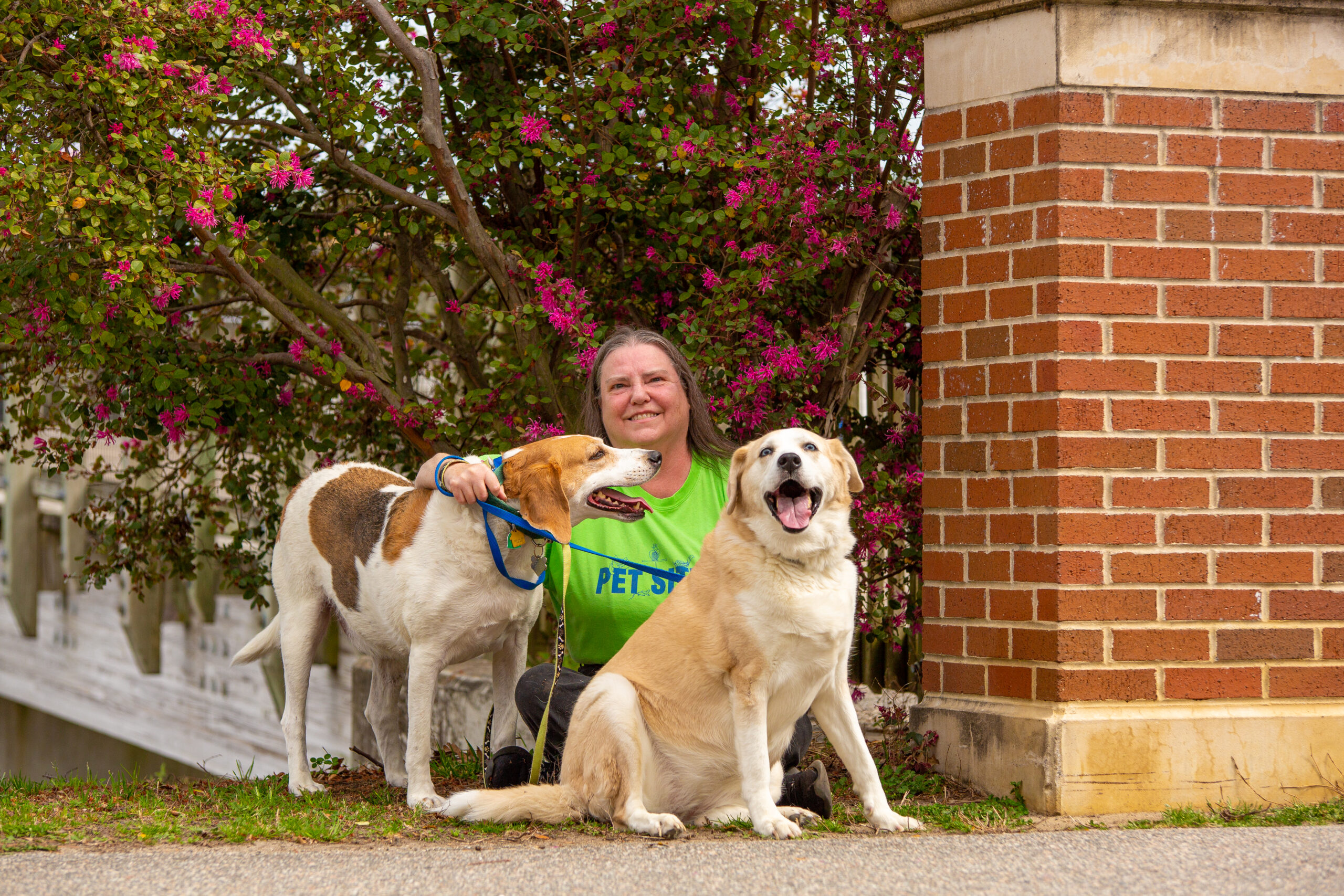 Einstein's Dog Sitting Professional Dog Walker Sitter Myrtle Beach-1204