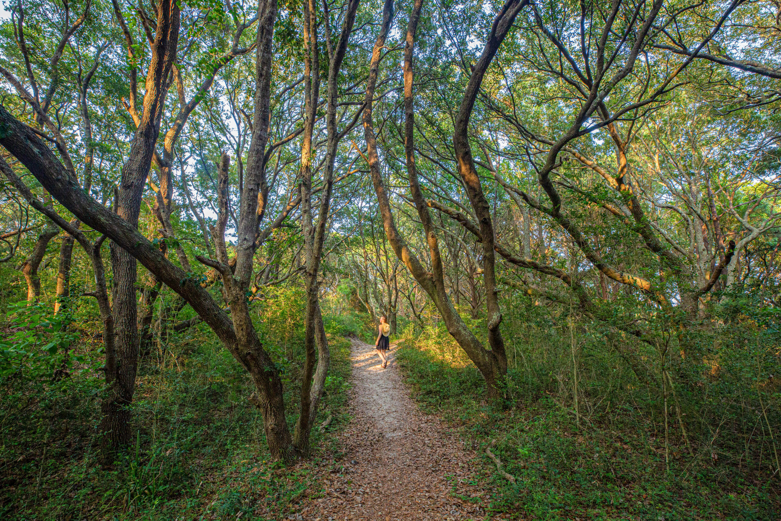 Sandpiper Pond Trail Murrells Inlet Huntington Beach State Park