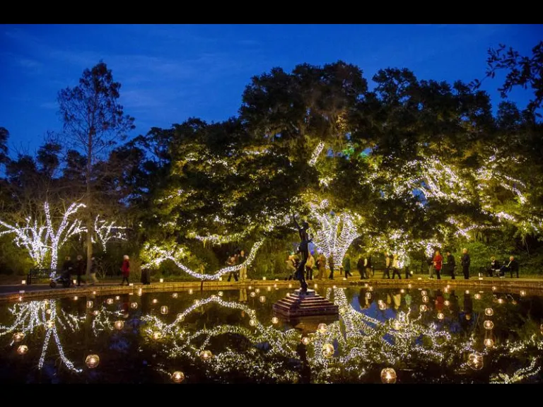 Brookgreen Gardens Home to the 1 Christmas Lights in South Carolina